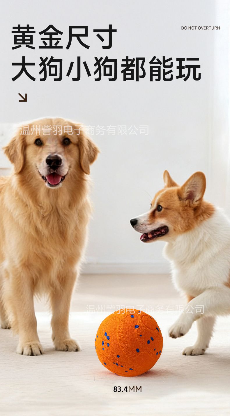 ETPU köpek oyuncağı topu, dayanıklı ve interaktif