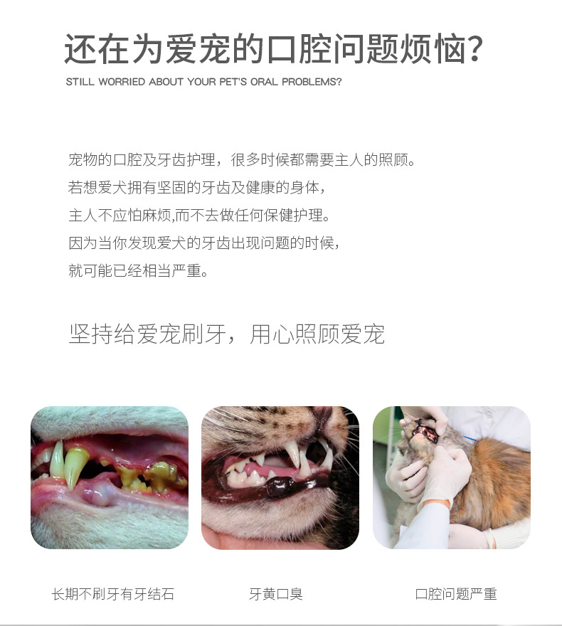 Pet toothbrush set for dogs and cats