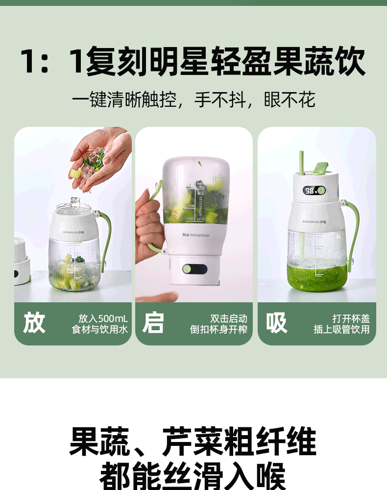 Fruit juicer, portable, large capacity