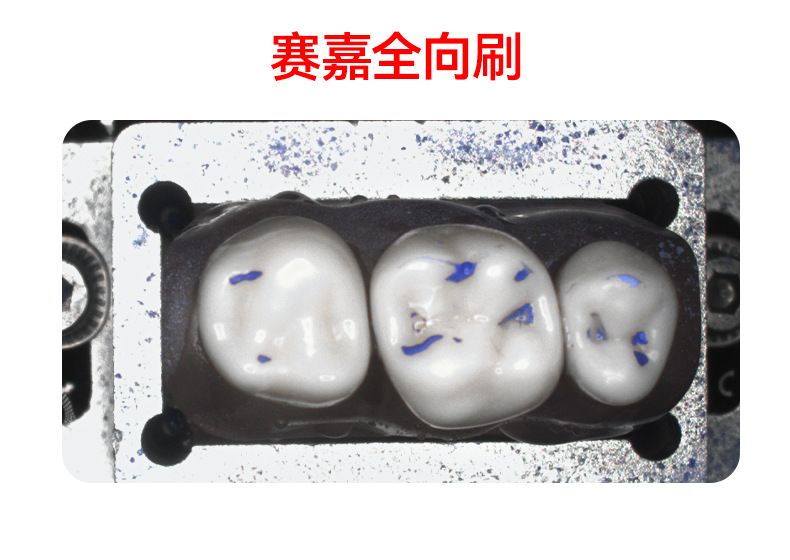 赛嘉电动牙刷源头厂家批发全向刷成人电动牙刷声波智能自动美白
