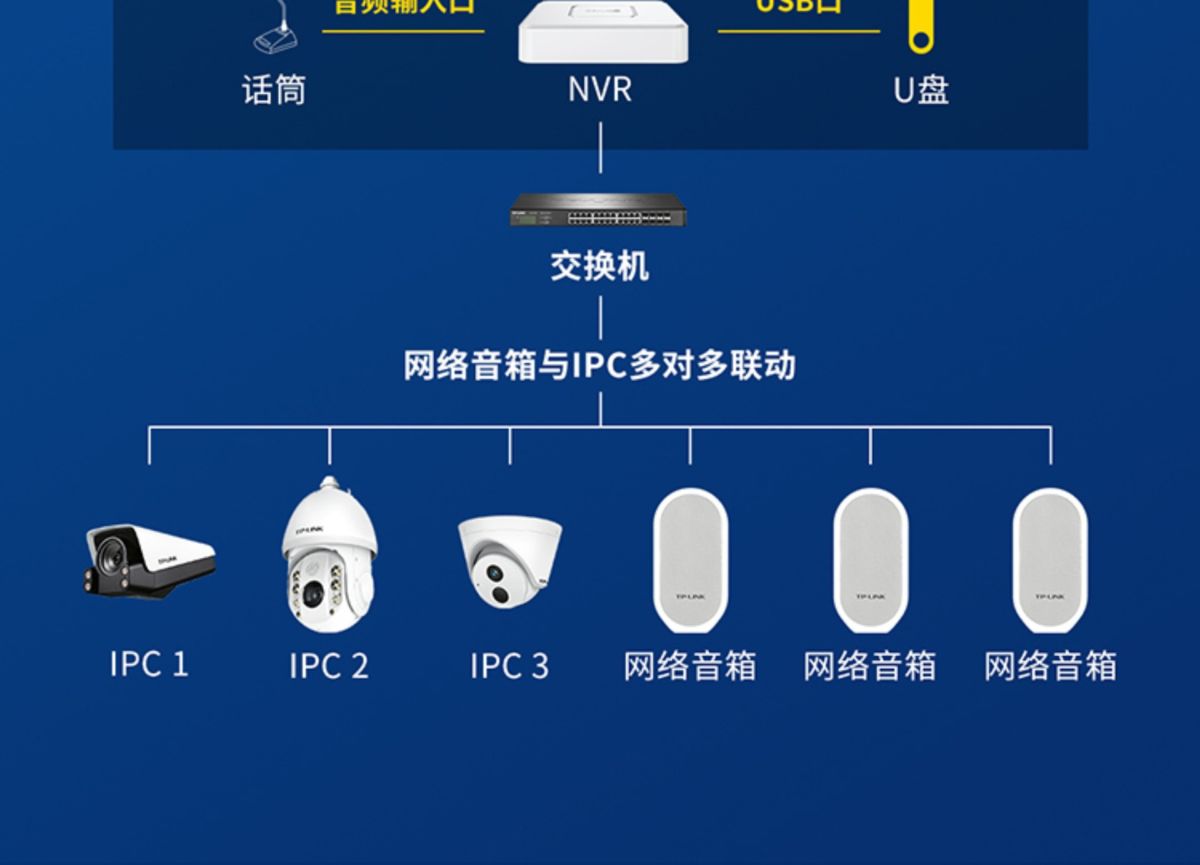 TP-LINK TL-NVR6104C-L gözetim kaydedici H.265 4 kanal