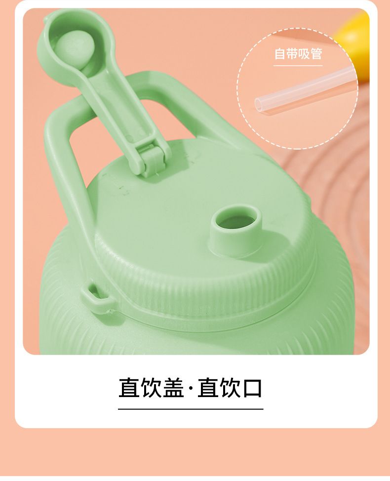 Portable rechargeable fruit juicer with large capacity