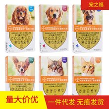 Dog and cat toothbrush set with toothpaste, tartar cleaning