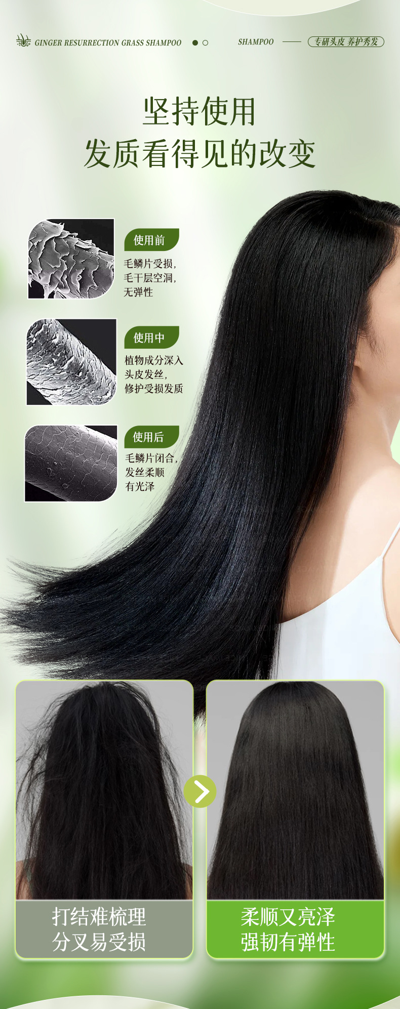 Zhuolan Ya Ingwer Shampoo Nährend Reparatur