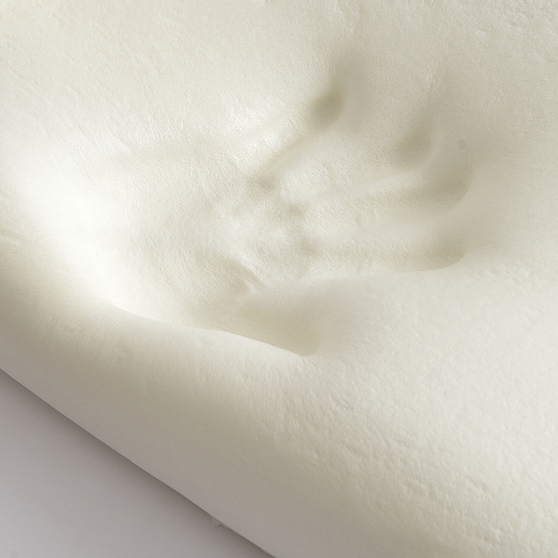 Memory Foam Pillow with Slow Rebound Technology