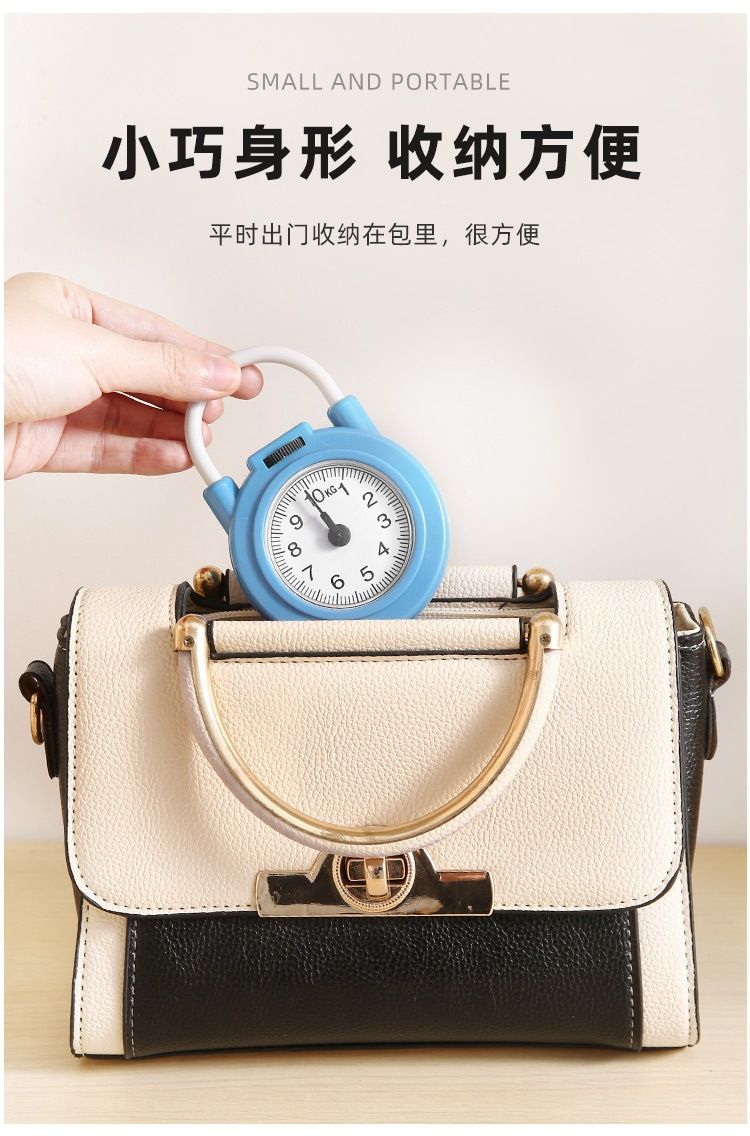 Kitchen Spring Hook Scale Portable