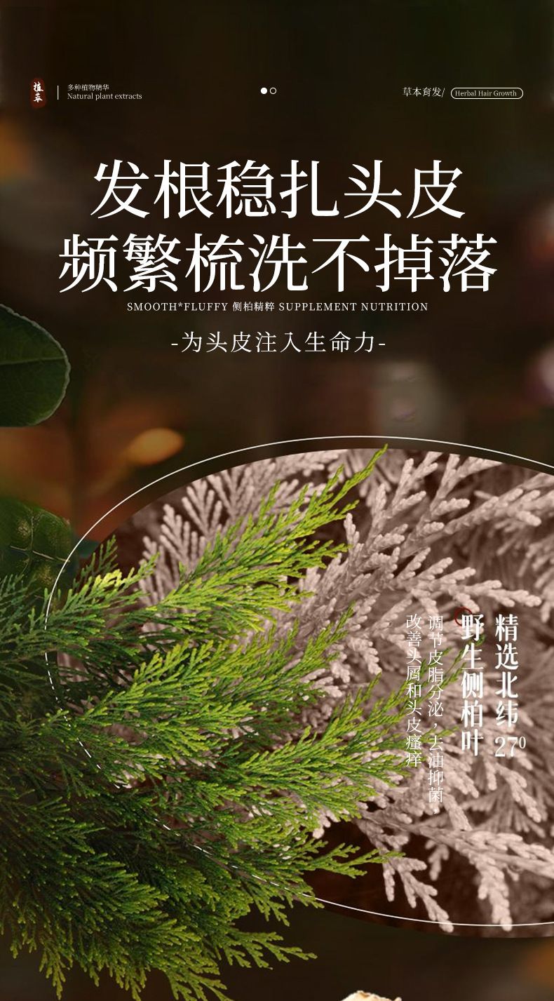 素秀臣氏侧柏叶洗发水控油蓬松草本温和养发持久留香养发洗发露L
