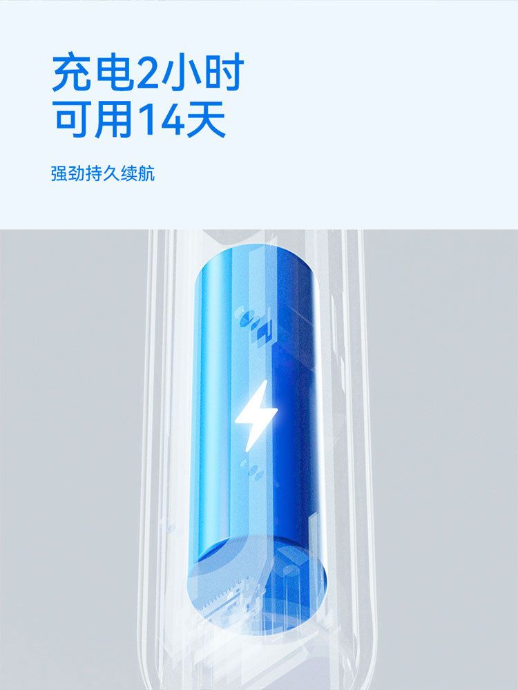 Pet electric toothbrush, dental cleaner and polisher