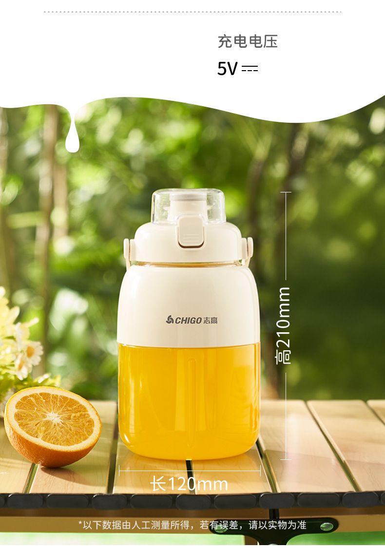 Chigo portable fruit juicer, rechargeable, multifunctional