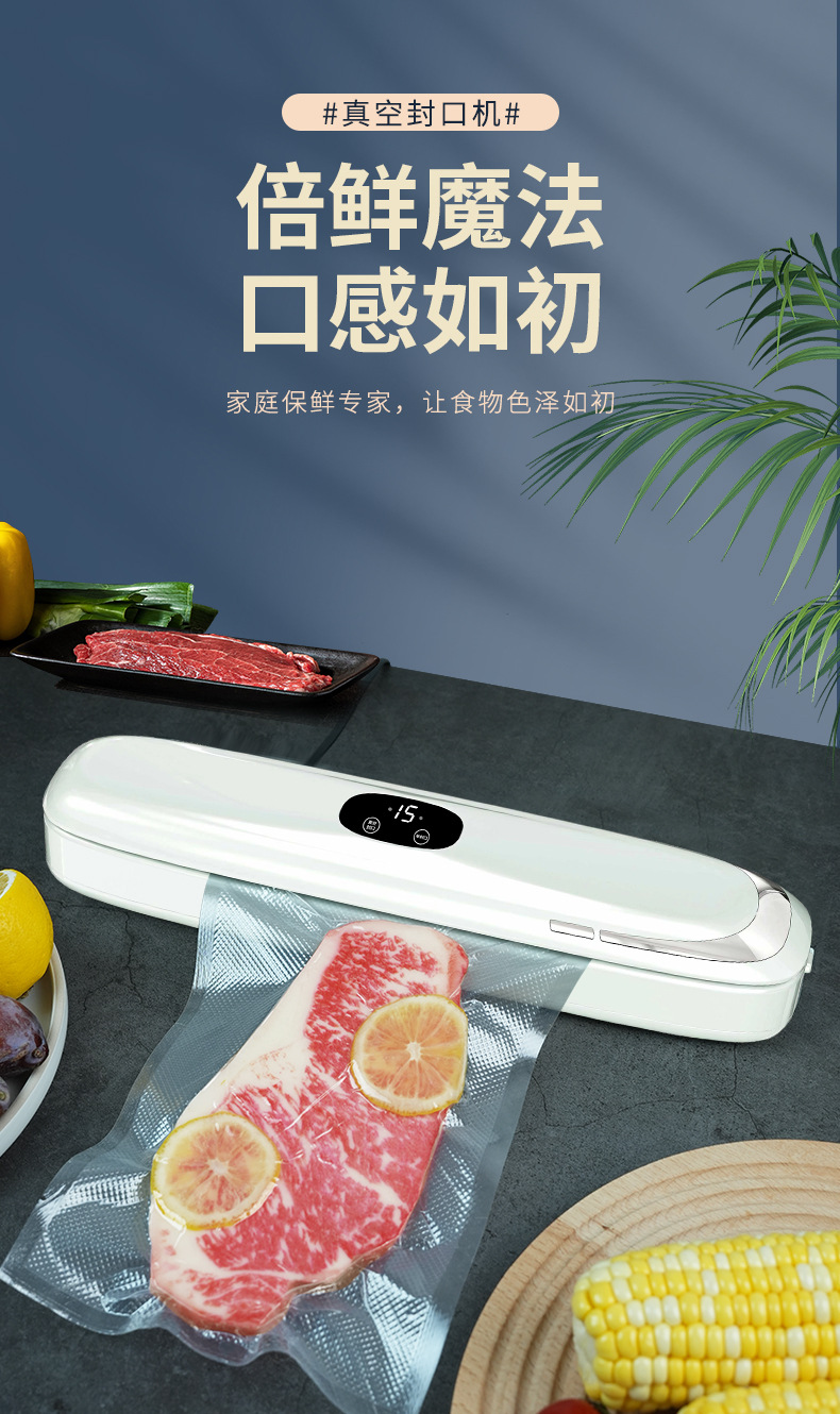 Automatic vacuum sealing machine for food bags, household type