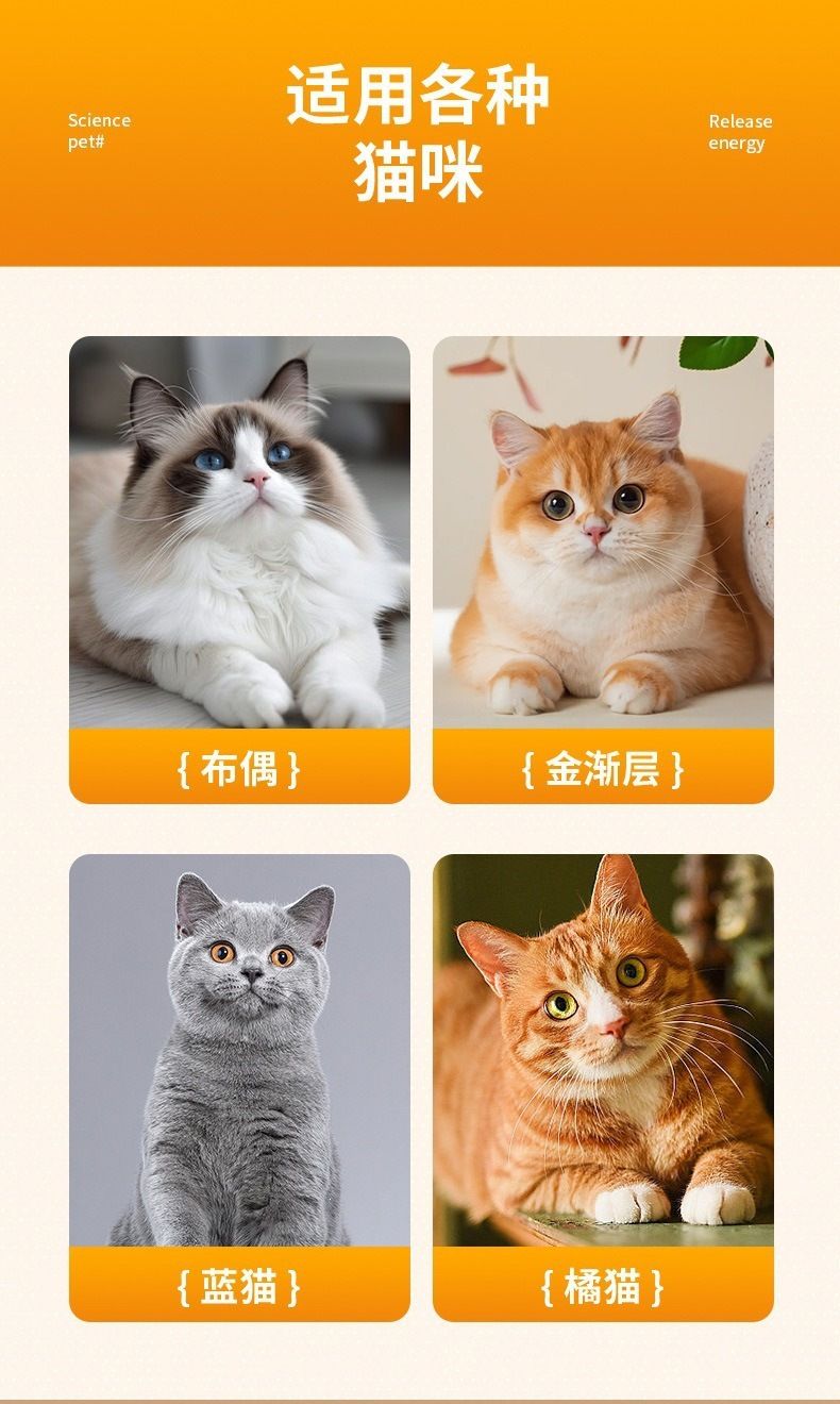 Smart rolling ball cat toy, interactive entertainment