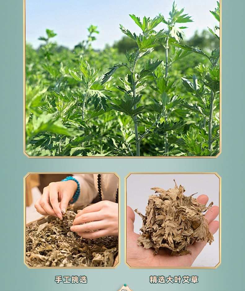 艾草枕艾草连体颈椎枕糖果圆柱枕头家用可拆卸护颈枕艾灸枕头批发