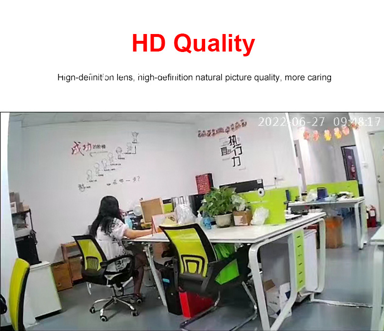MD31 MD29 1080P camera with PIR sensor night vision