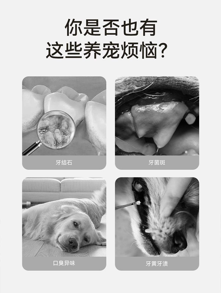 Pet electric toothbrush, dental cleaner and polisher