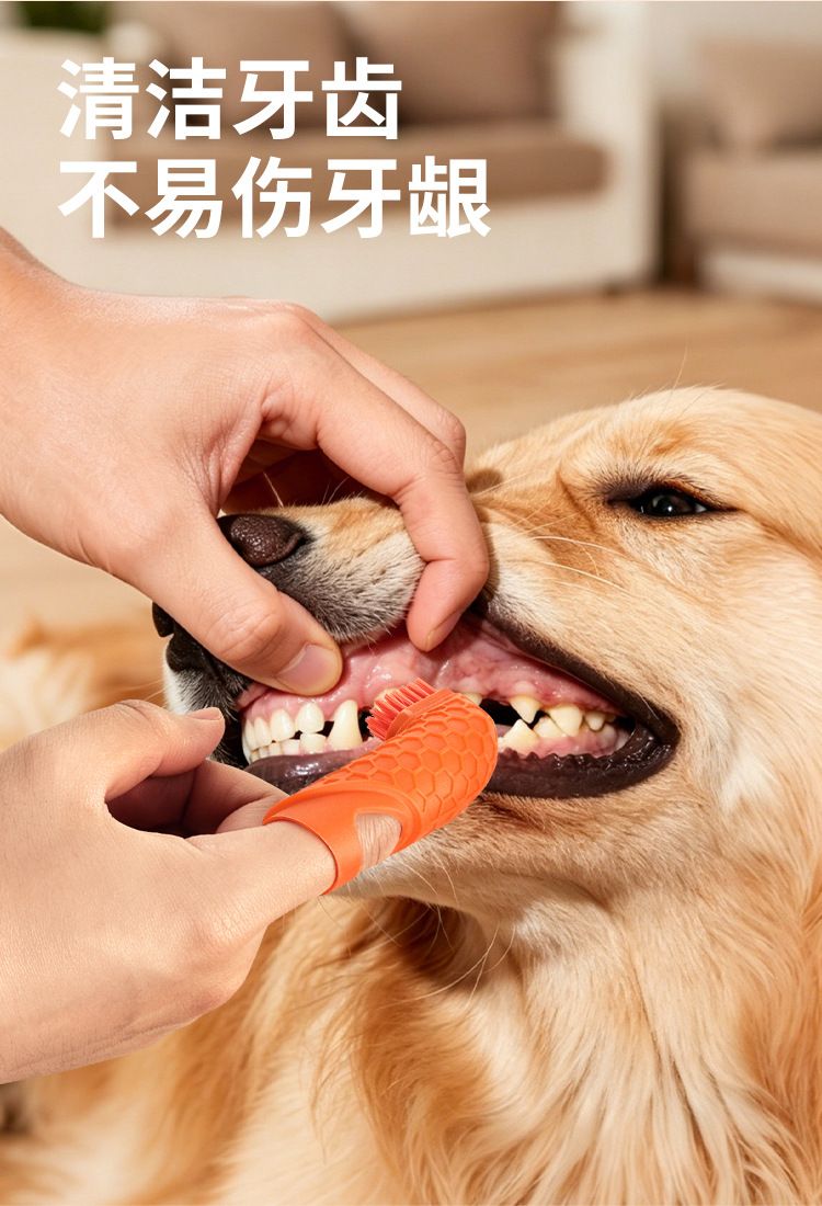 Pet finger toothbrush, dental cleaning