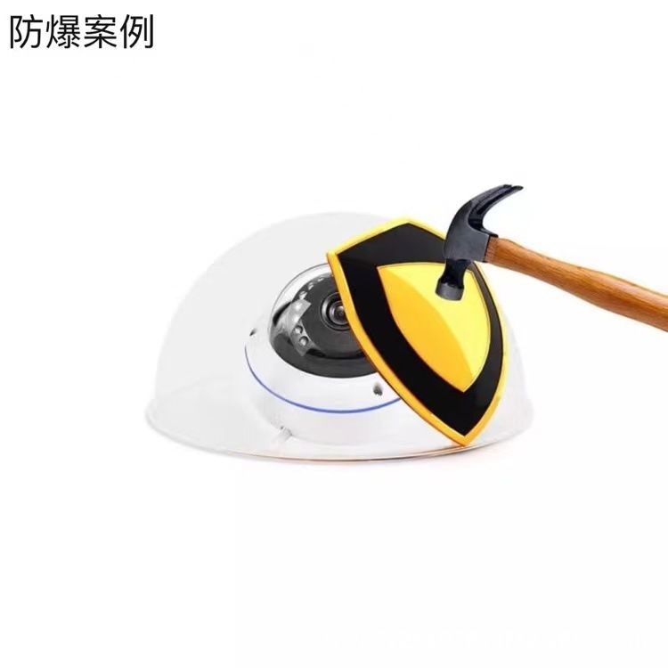 5MP POE network camera, outdoor, metal dome