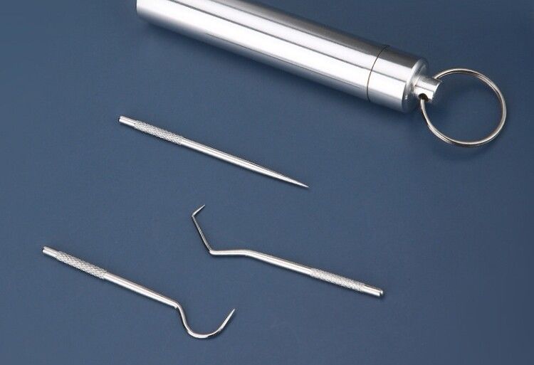 Stainless steel toothpick set, portable dental care tool