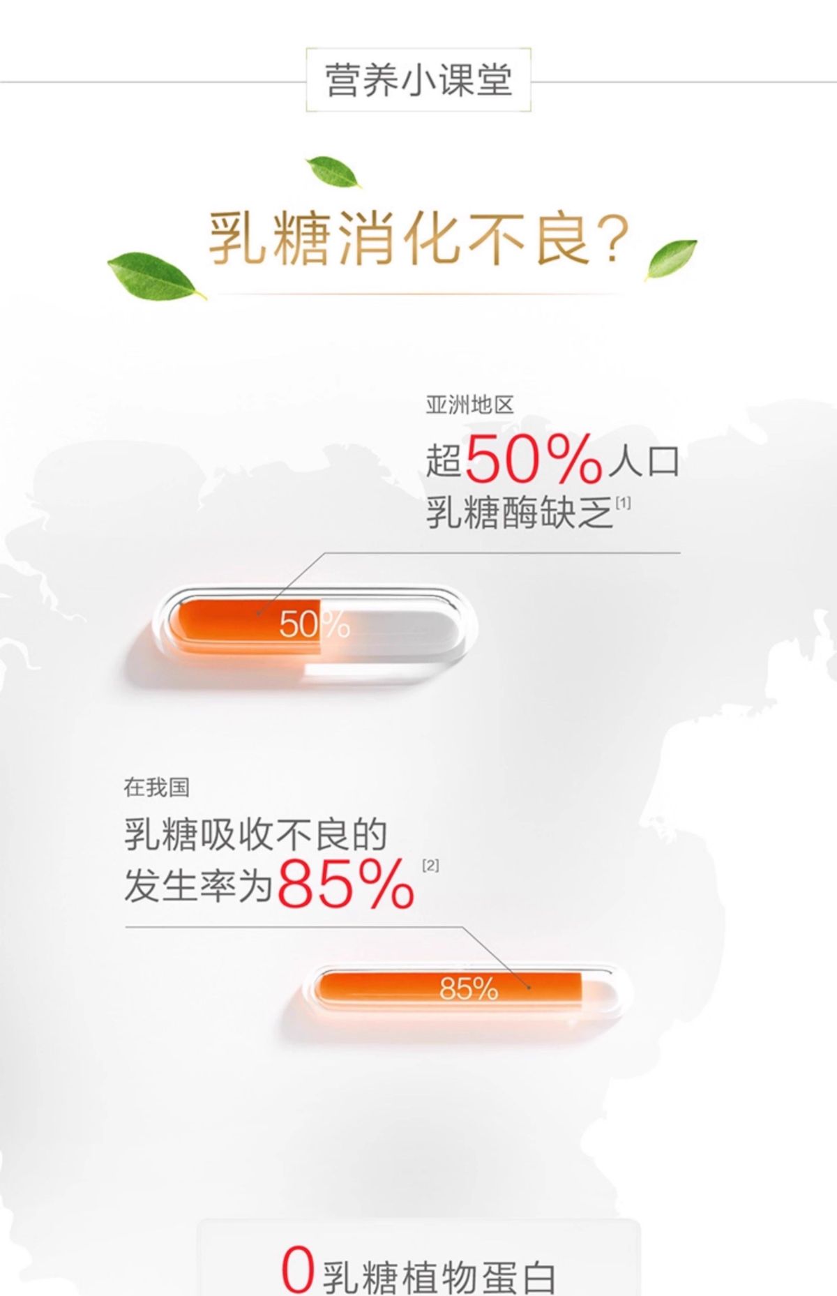 Plant protein powder soy and pea, for men and women