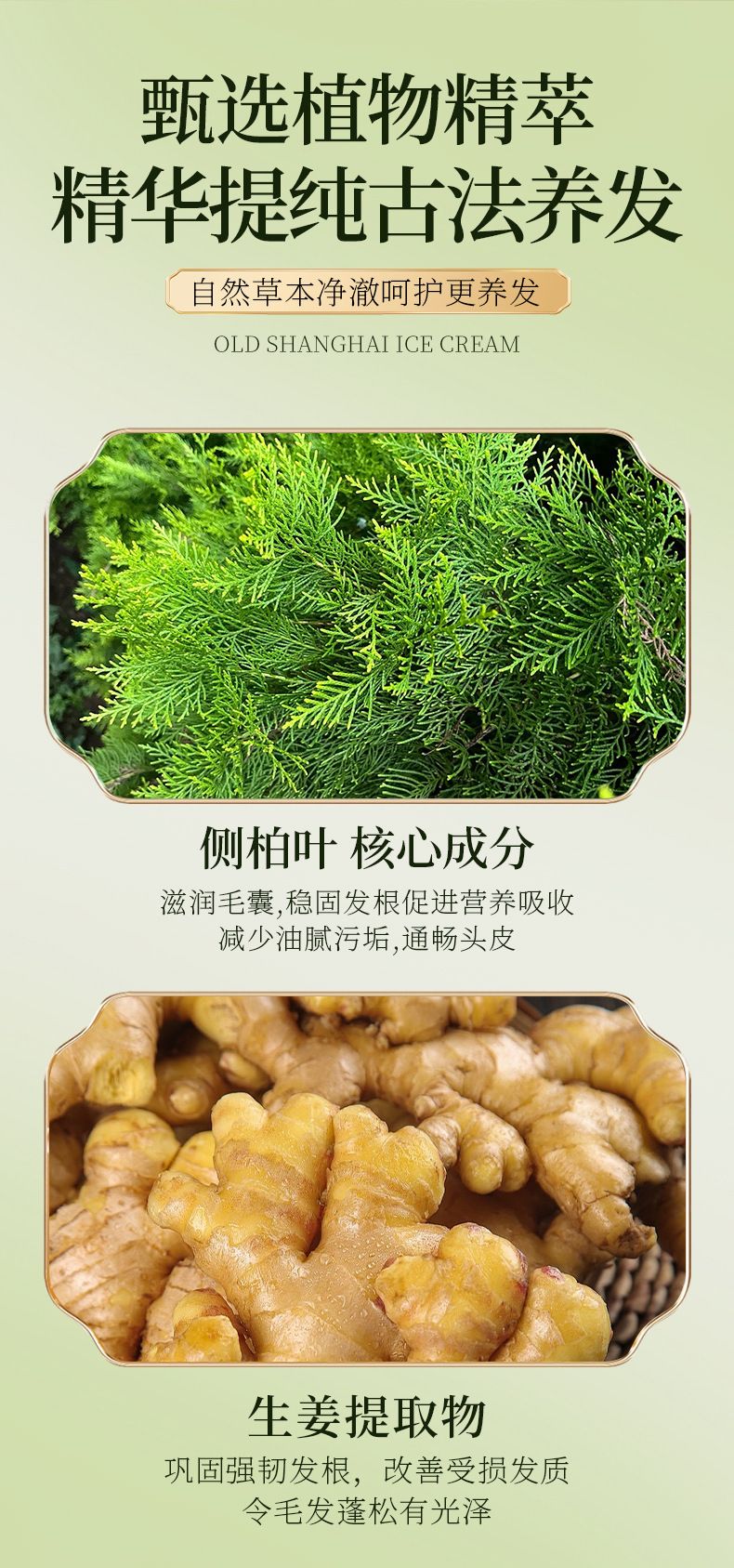 七味堂防脱洗发水大容量家庭装侧柏叶草本固发控油蓬松洗发膏批发