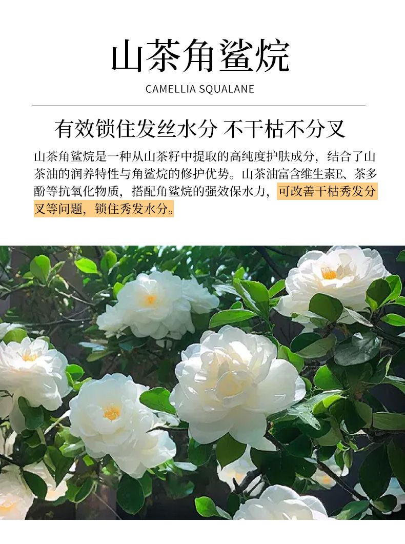 大牌同款护发精油 女士烫染受损毛燥养发精油玫瑰植物柔顺护发油