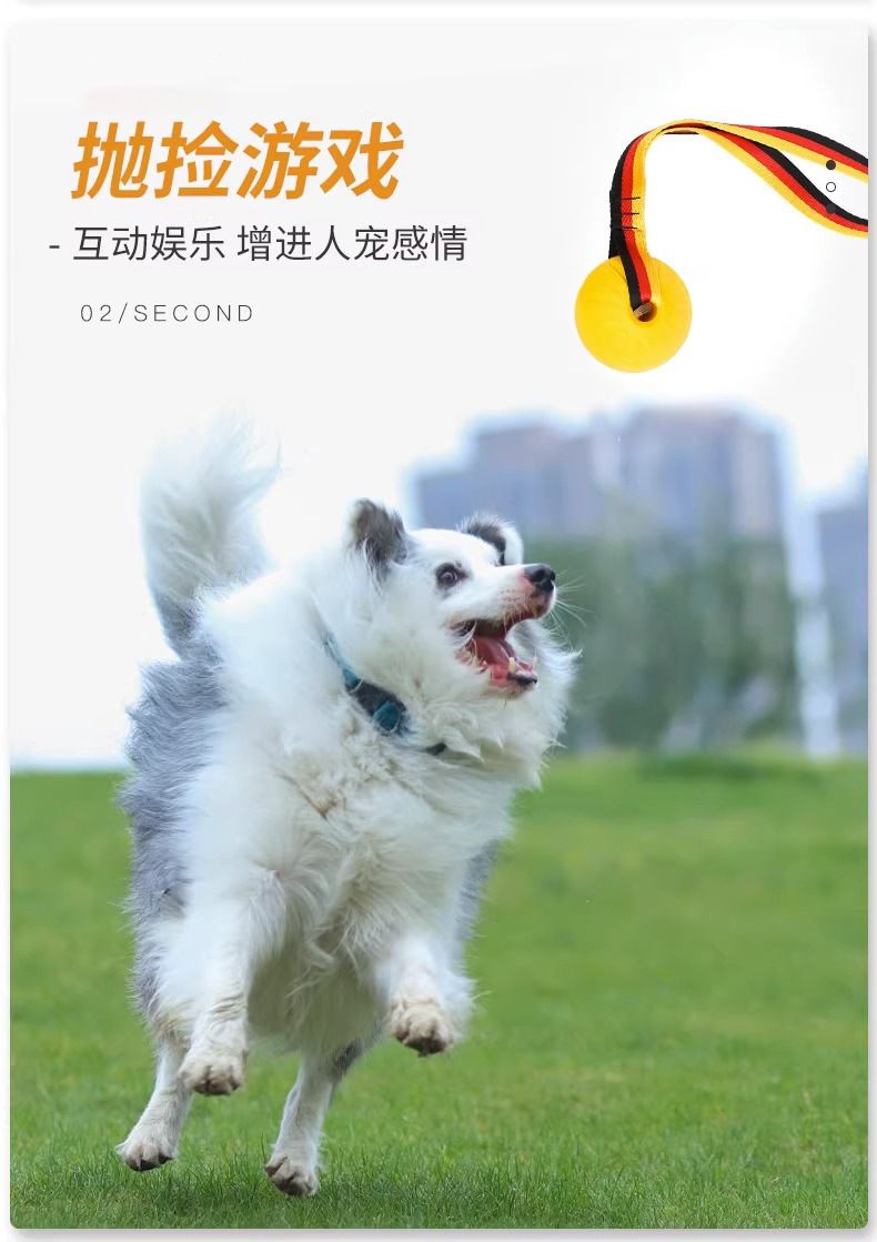 狗狗玩具大型犬互动圆环金毛拉布拉多拉环狗球磨牙耐咬狗解闷玩具