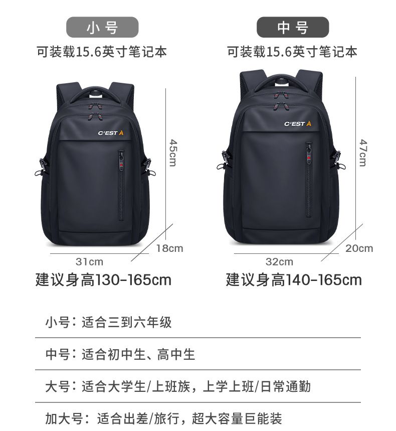 Men's backpack, laptop, travel, extra large