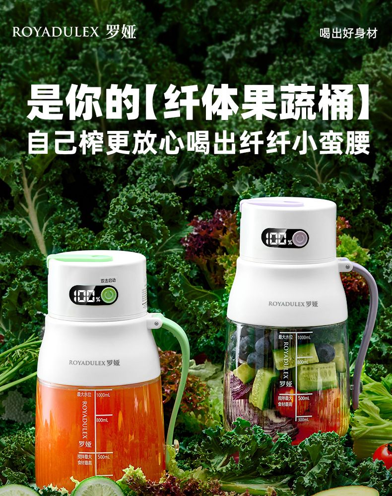 Fruit juicer, portable, large capacity