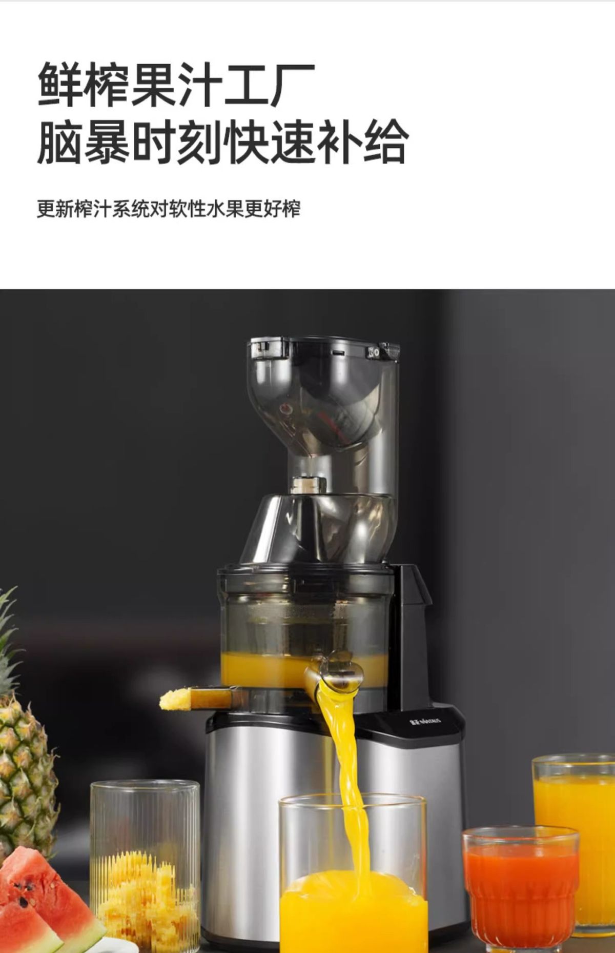 Jinzheng tam otomatik sebze meyve sıkacağı, soğuk sıkma