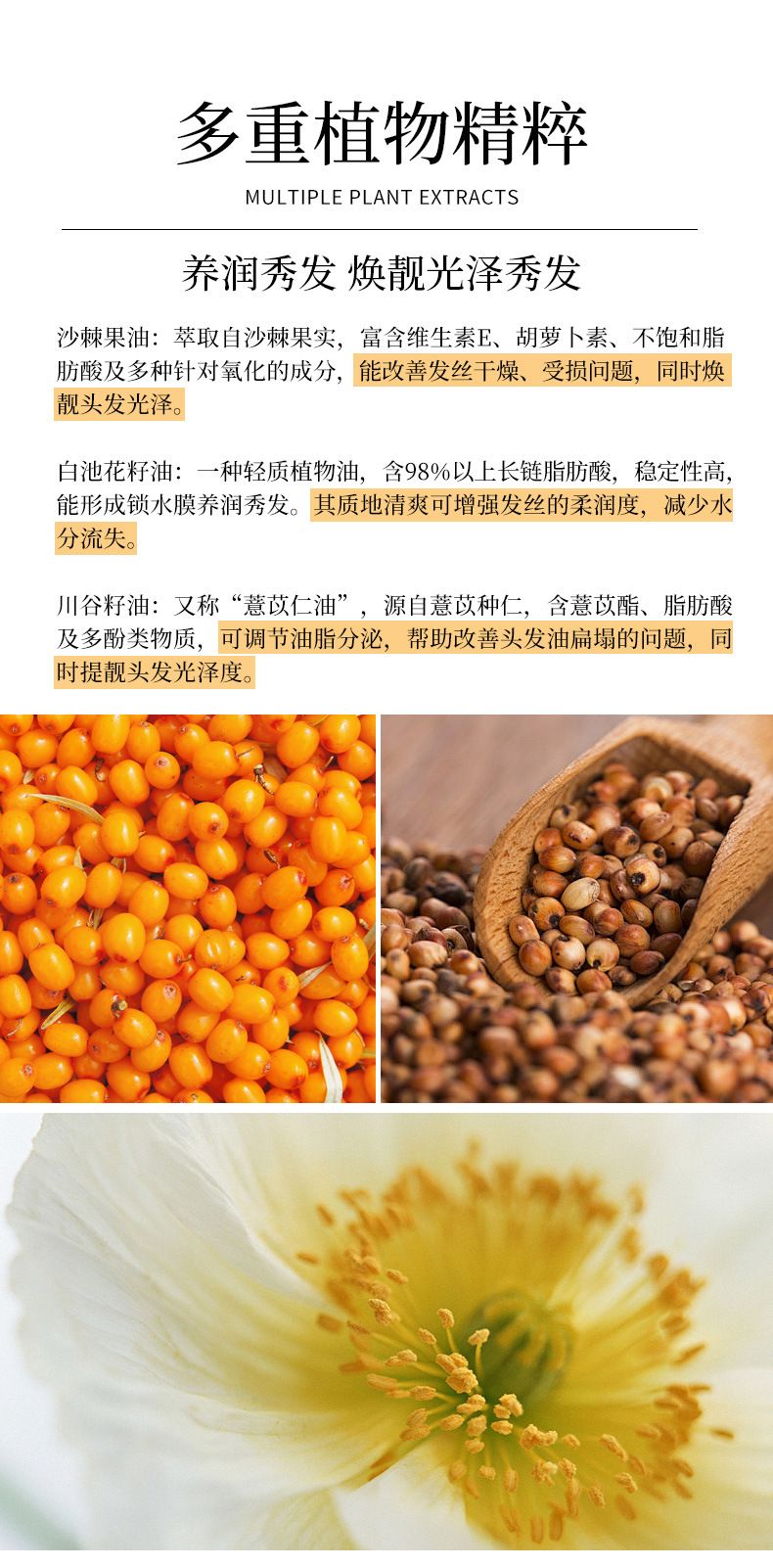 大牌同款护发精油 女士烫染受损毛燥养发精油玫瑰植物柔顺护发油
