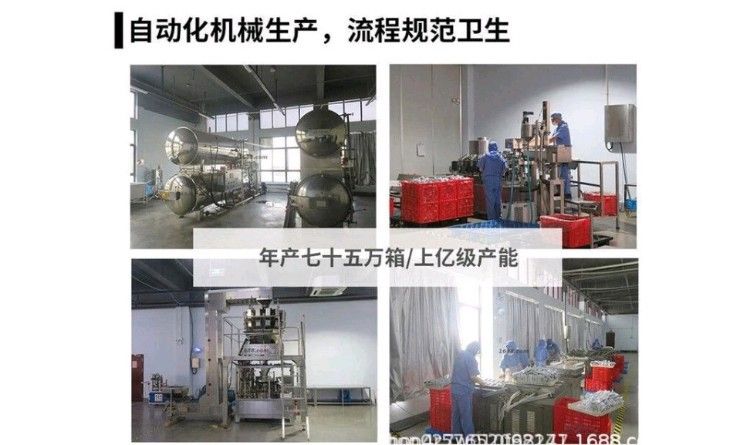 Duohe Lion's Mane Mushroom Protein Powder