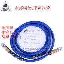 Shanghai Hongxin Hanging Steam Iron Industrial High Power