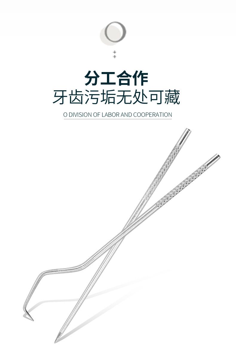 Stainless steel toothpick set with portable storage case