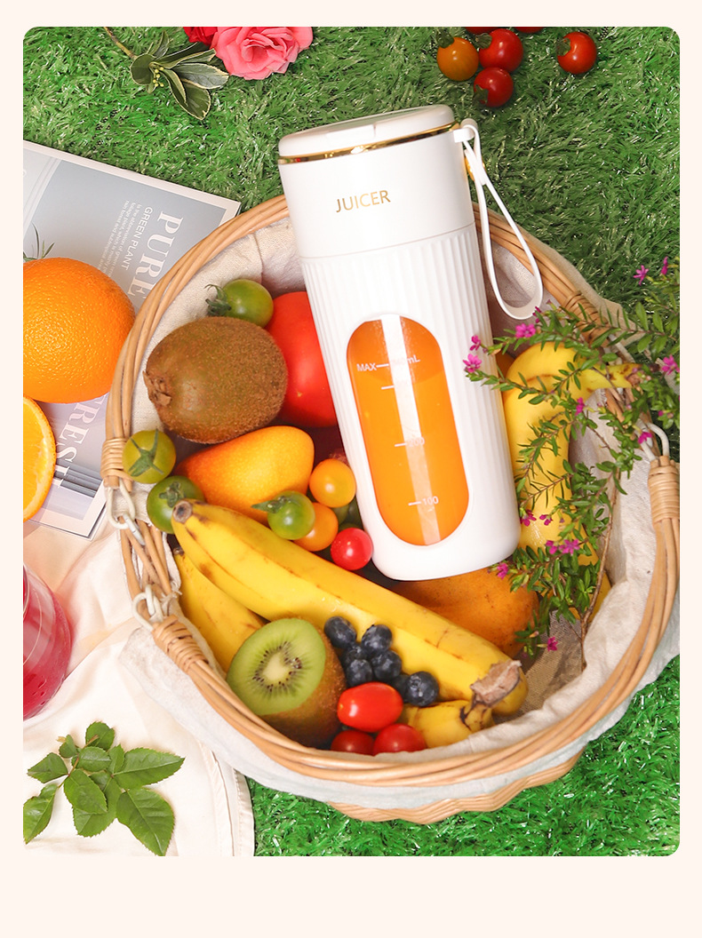 Portable mini electric fruit juicer and smoothie blender