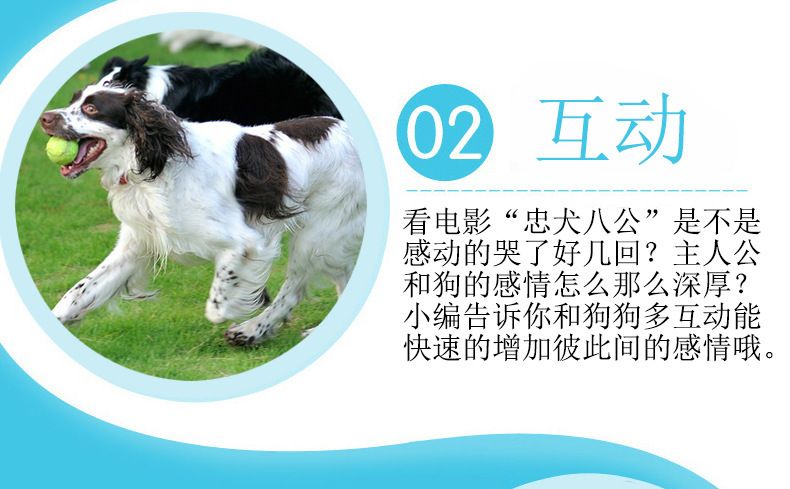 宠物玩具狗狗橡胶球解闷互动耐磨玩耍狗玩具宠物用品批发厂家