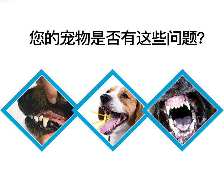 宠物牙刷猫狗狗洁牙刷牙狗牙刷猫牙刷猫咪狗宠物用品牙刷口腔清洁