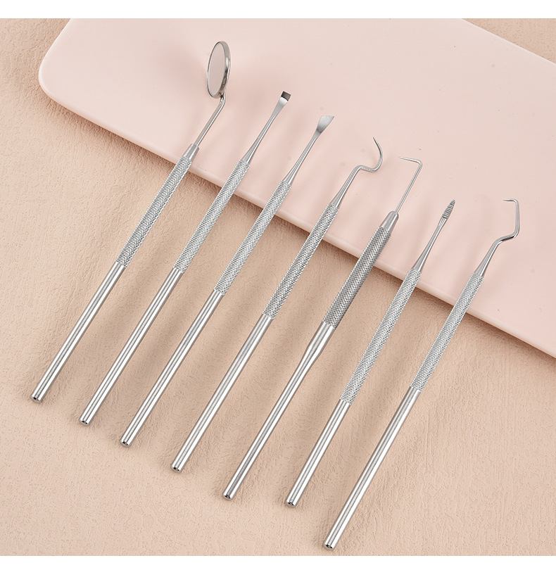 Stainless Steel Dental Cleaning Tool Set