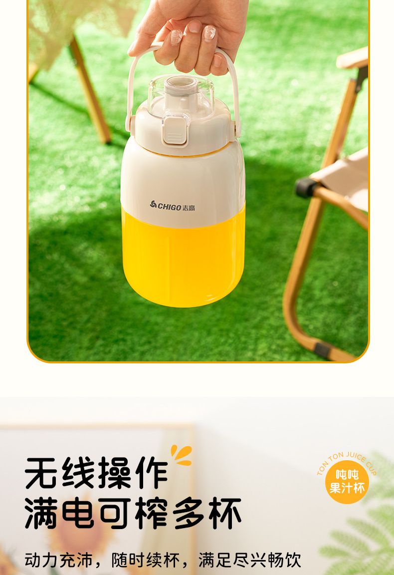 Chigo portable fruit juicer, rechargeable, multifunctional