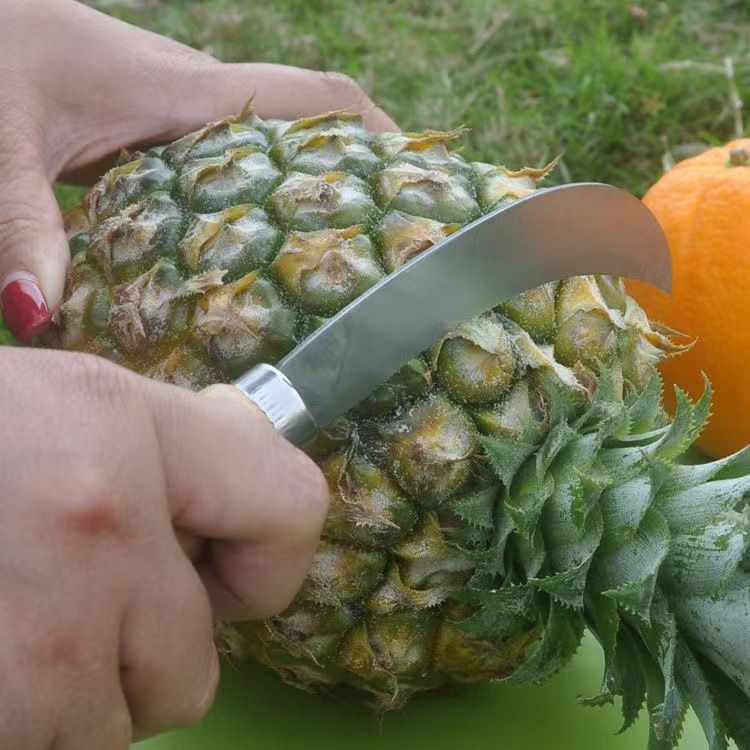 Paslanmaz çelik ahşap saplı kavisli bıçak ananas bıçağı tek kenarlı muz bıçağı meyve bıçağı soyma bıçağı pırasa bıçağı keskin sosis bıçağı