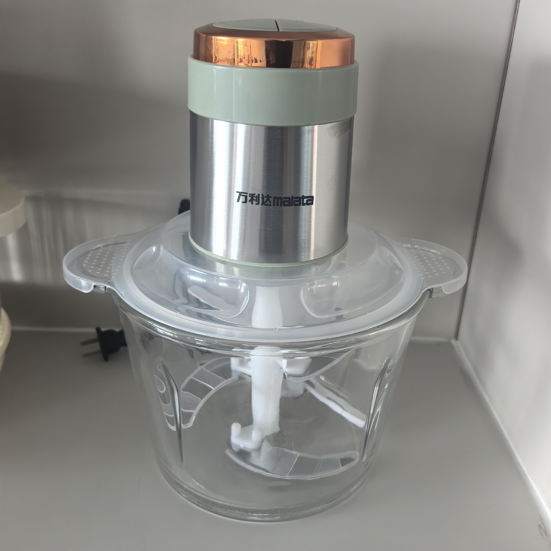 Wanlida portable meat grinder, automatic, stainless steel