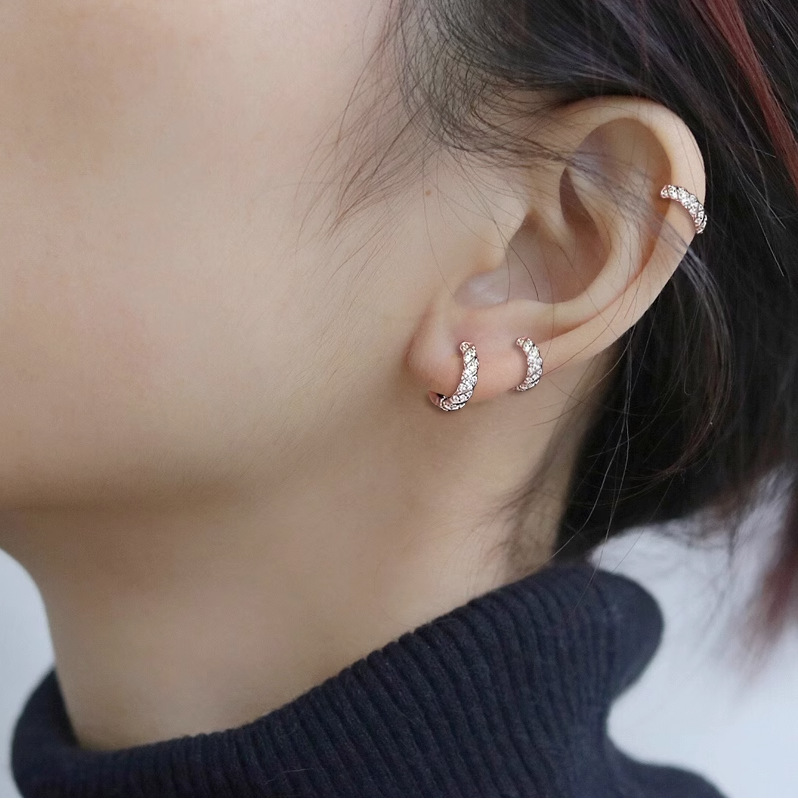 Diamond earrings, silver, luxury design, women's pierced earrings