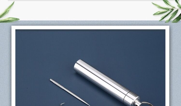 Stainless steel toothpick set, portable dental care tool