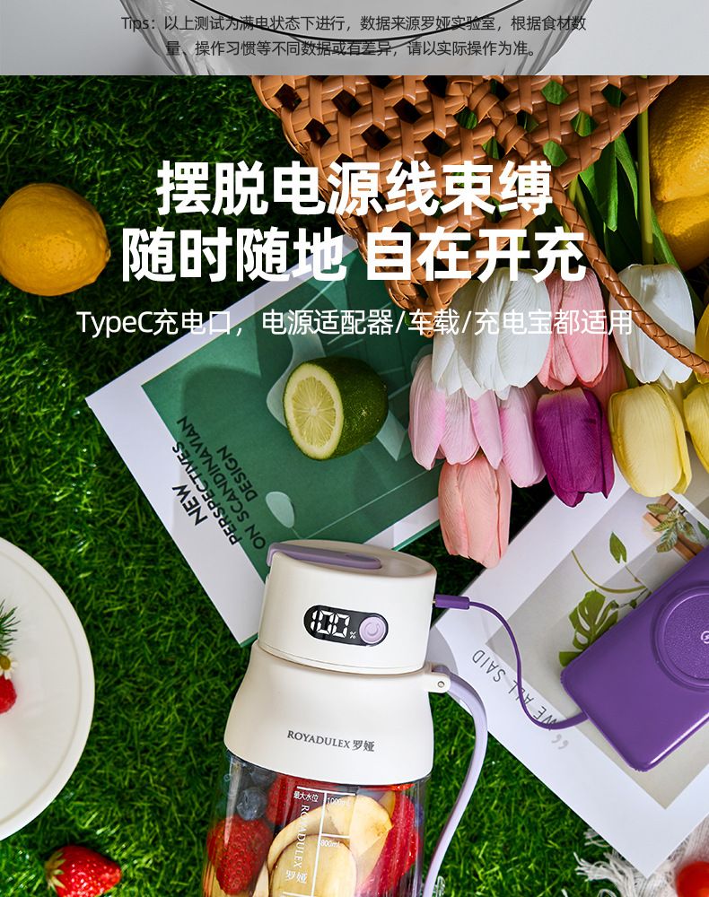 Fruit juicer, portable, large capacity