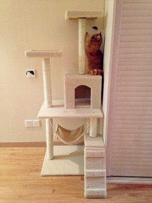 Fabrika doğrudan satış toptan ısmarlama evcil hayvan malzemeleri kedi oyuncakları kedi tırmanma çerçevesi kedi tırmalama tahtası kedi ağacı 23 gri
