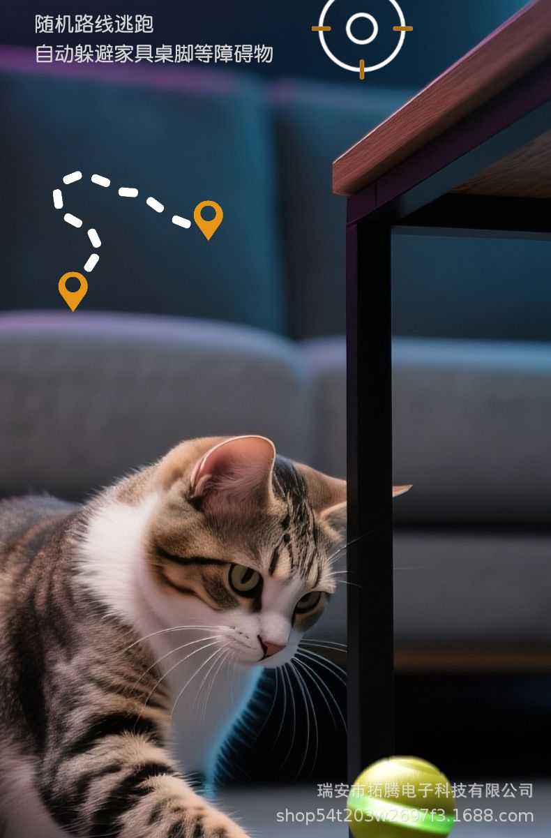 Dualmodus-Katzenspielzeug mit Ball und Zahnreinigung