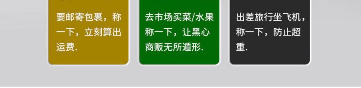 弹簧秤高精度手提称便捷式家用随身带小勾称小型手提多功能电子称