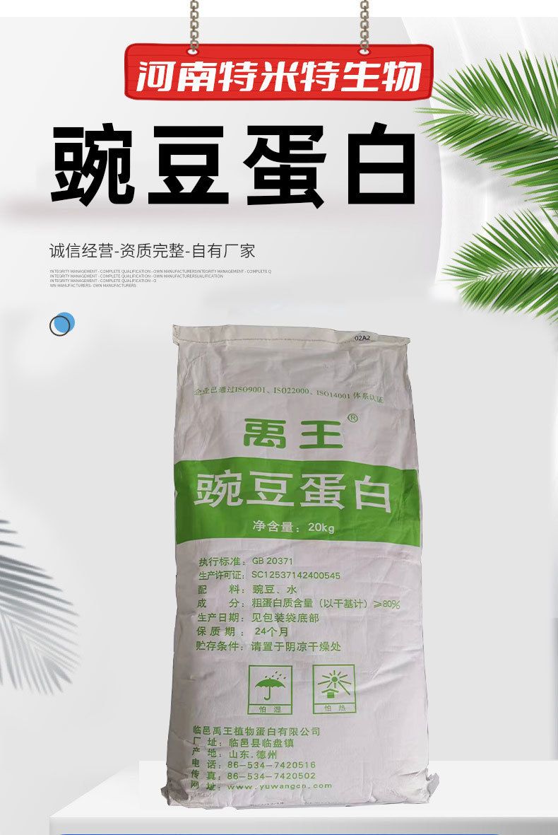 Pea Protein Powder 80% Food Grade