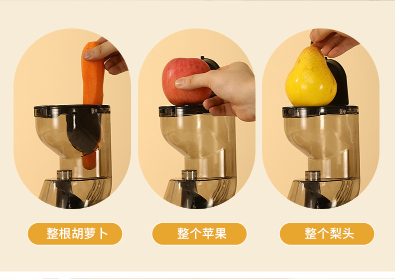 Fully automatic fruit and vegetable juicer with soy milk function