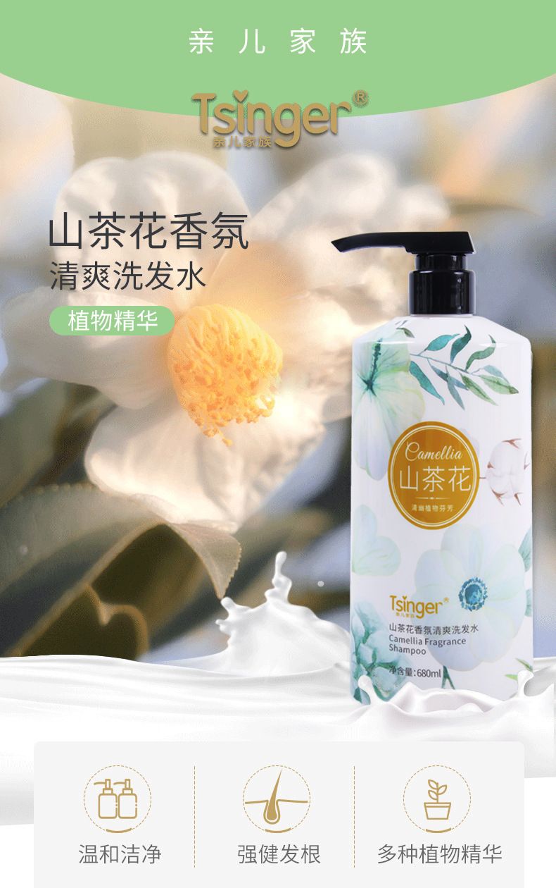 Qin Er Kamelie Shampoo, Aminosäure-Formel, Ölkontrolle