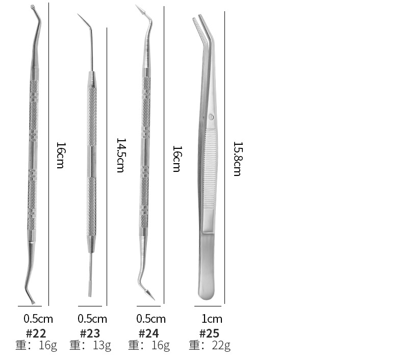 Stainless Steel Dental Cleaning Tool Set