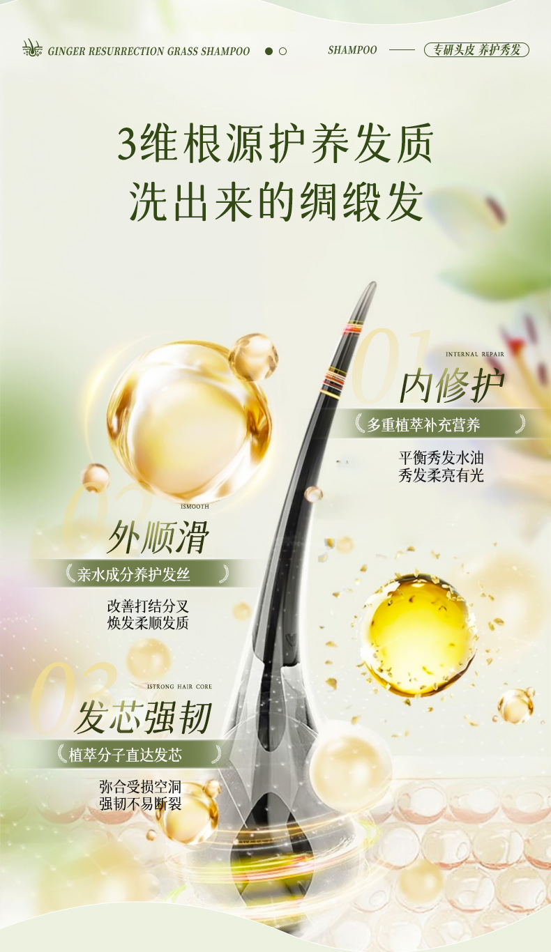 Zhuolan Ya Ingwer Shampoo Nährend Reparatur